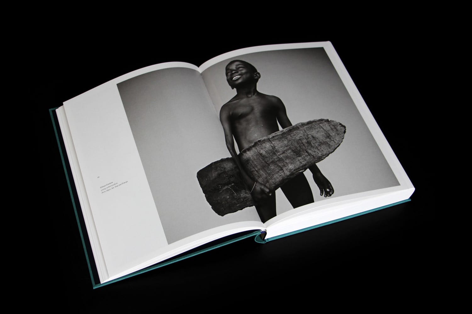 Swell: A Year of Waves (Ocean Coffee Table Book, Book About Surfing)